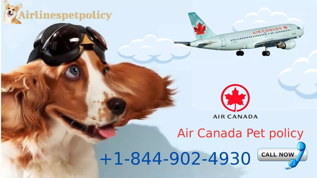 PPT-Air Canada Pet policy