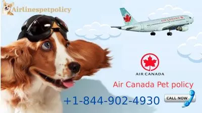 Air Canada Pet policy