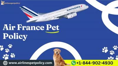 The pet policy at Air France