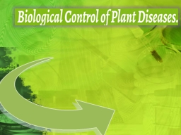 Biological control involves the use of one living organism to control another.