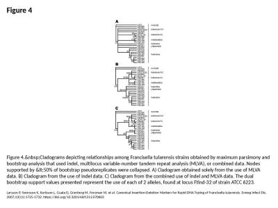 Figure 4 Figure 4.&nbsp;Cladograms depicting relationships among Francisella tularensis