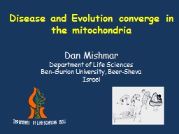 PPT-Disease and Evolution converge in the mitochondria