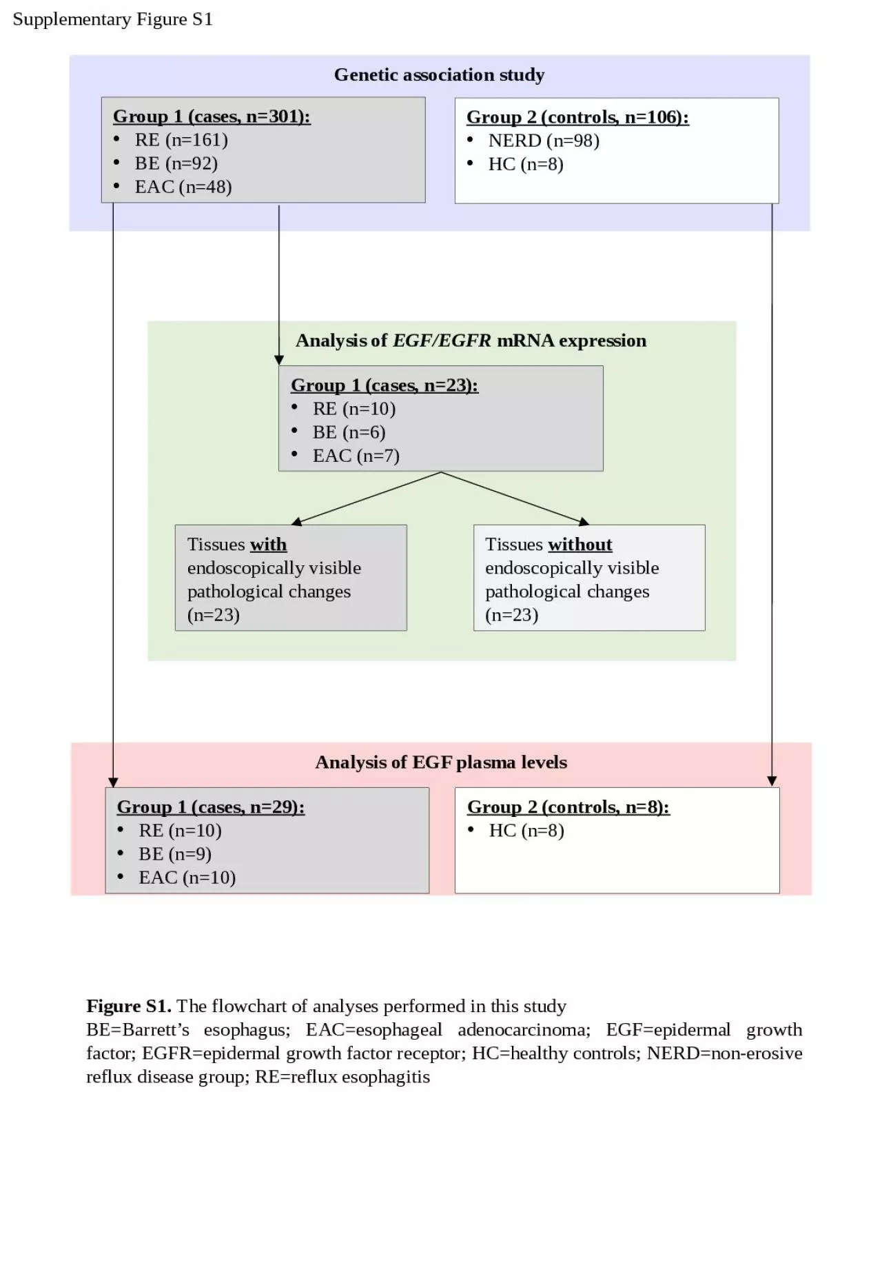 PPT-Genetic association study