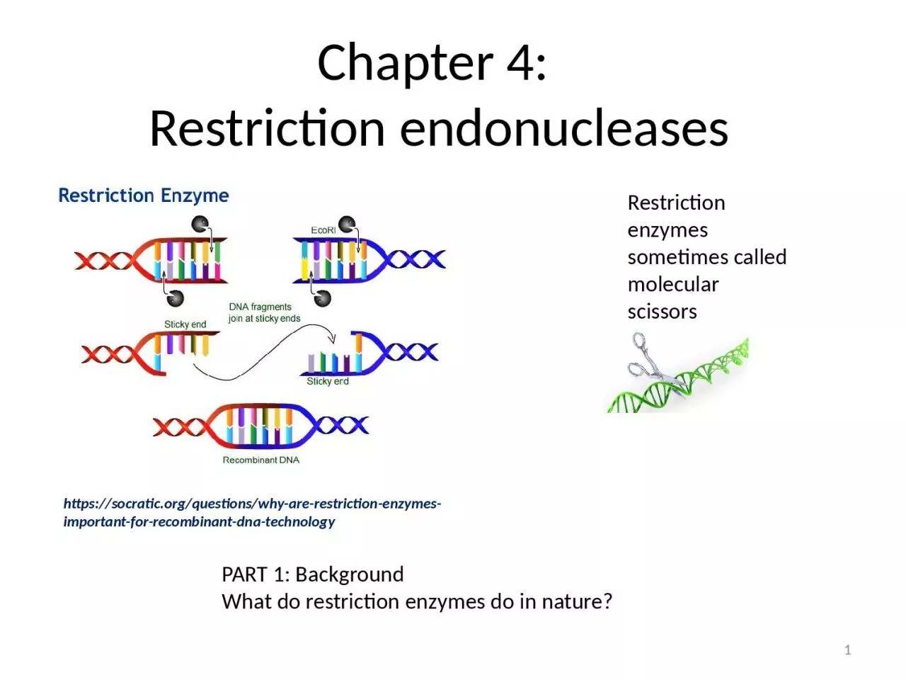 Chapter 4:  Restriction endonucleases