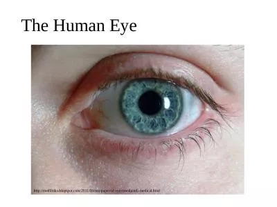 The Human Eye http:// medilinks.blogspot.com