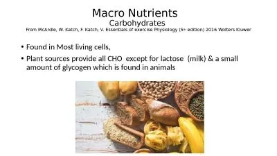 Macro Nutrients   Carbohydrates