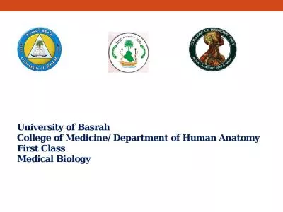 University of Basrah College of Medicine/ Department of Human Anatomy