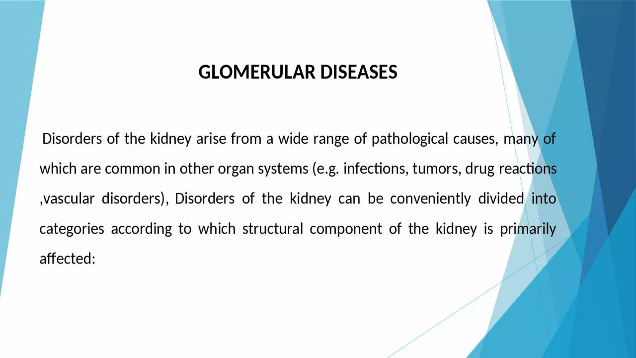 PPT-v Glomerulus Disorders