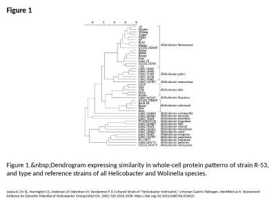 Figure 1 Figure 1.&nbsp;Dendrogram expressing similarity in whole-cell protein patterns of stra