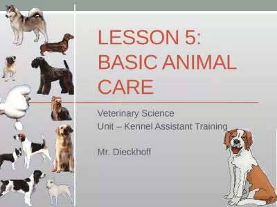 Lesson 5: Basic animal care
