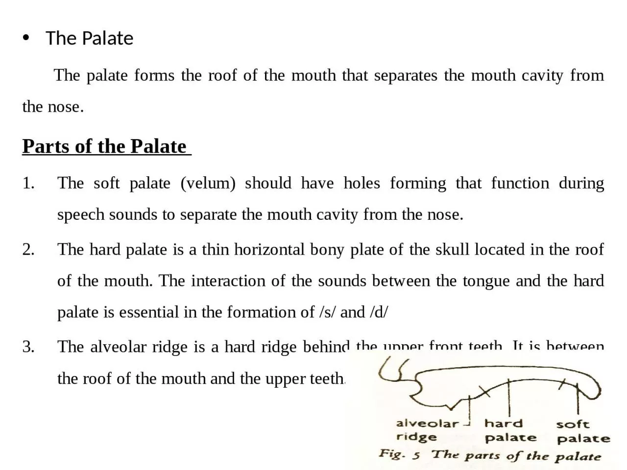 PPT-The Palate The palate forms the roof of the mouth that separates the mouth cavity from