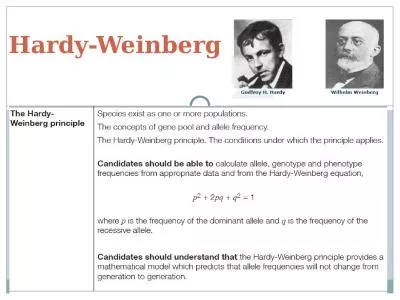 Hardy-Weinberg Textbook What do we mean by the following terms?