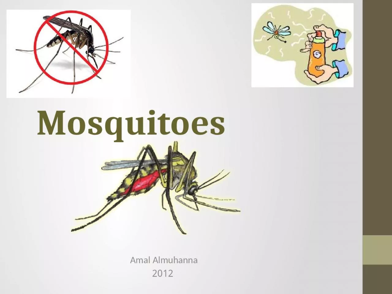 PPT-Mosquitoes Amal Almuhanna