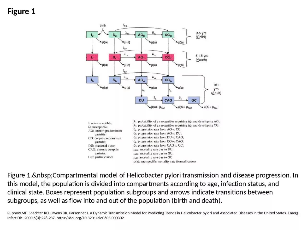 PPT-Figure 1 Figure 1.&nbsp;Compartmental model of Helicobacter pylori transmission and