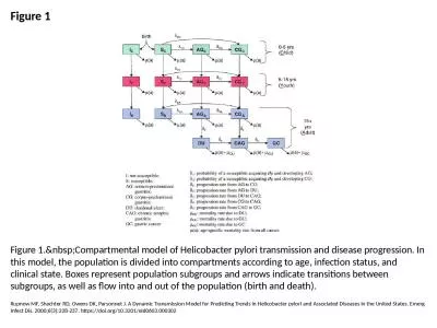 Figure 1 Figure 1.&nbsp;Compartmental model of Helicobacter pylori transmission and disease pro