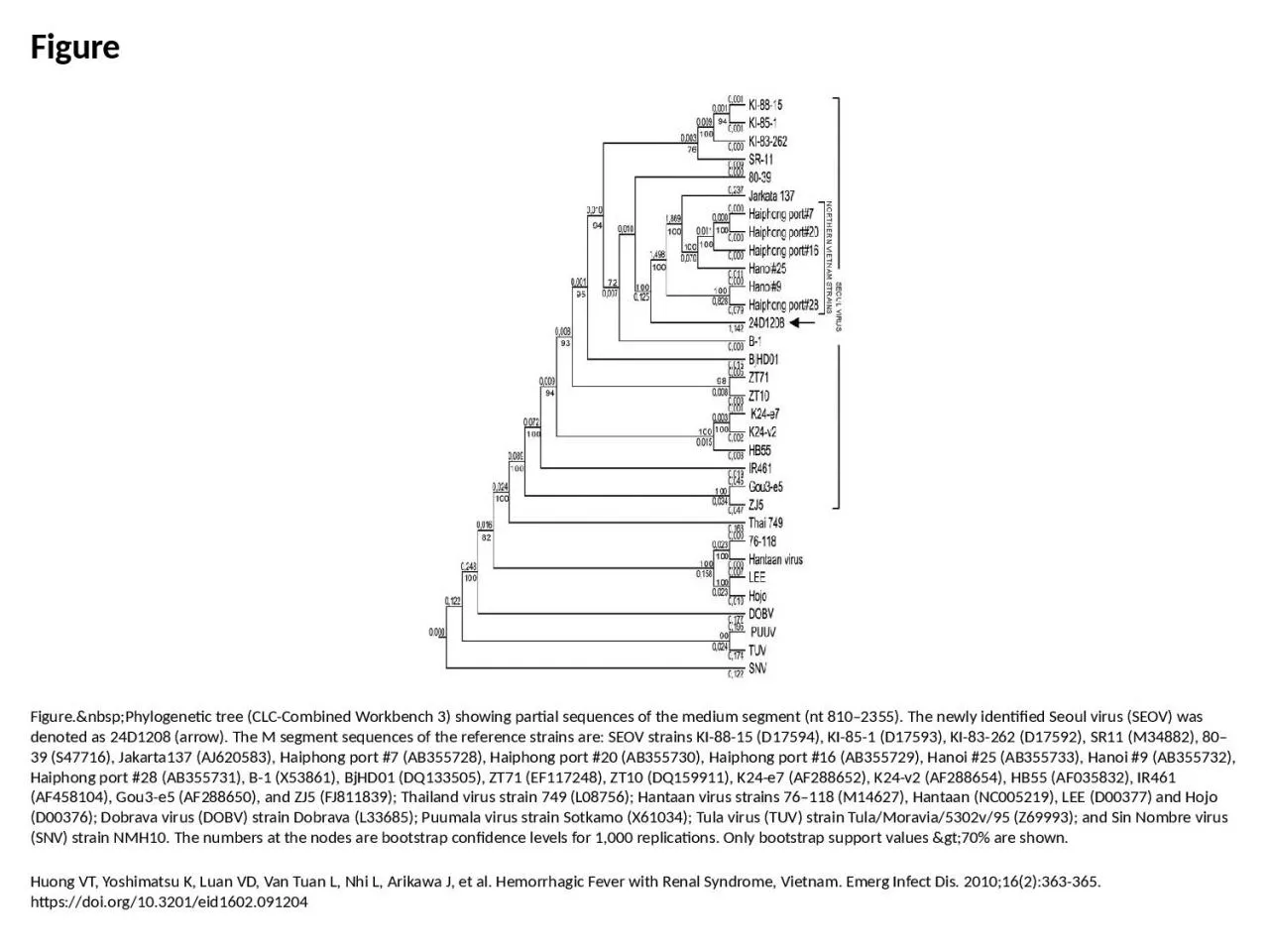 PPT-Figure Figure.&nbsp;Phylogenetic tree (CLC-Combined Workbench 3) showing partial sequences