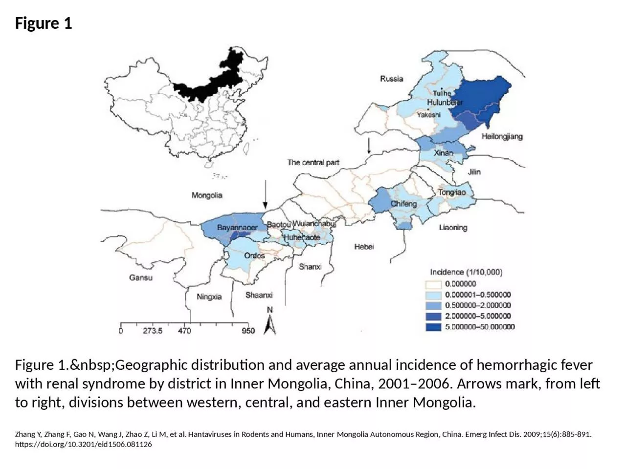 PPT-Figure 1 Figure 1.&nbsp;Geographic distribution and average annual incidence of hemorrhagic