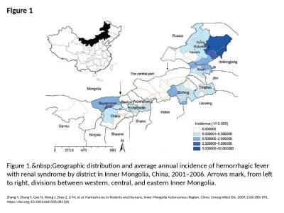 Figure 1 Figure 1.&nbsp;Geographic distribution and average annual incidence of hemorrhagic fev