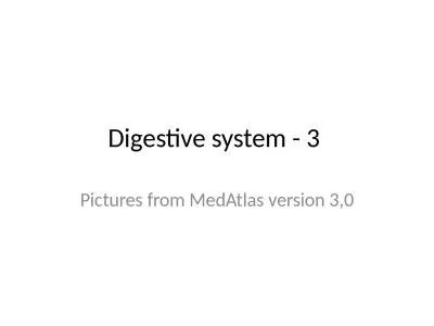 Digestive  system   - 3