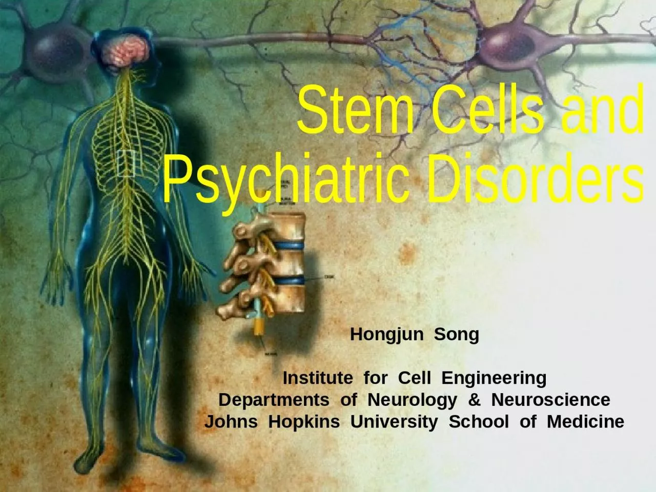 PPT-Hongjun Song Institute for Cell Engineering