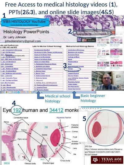 Free Access  to medical histology