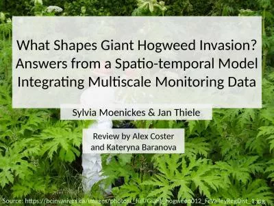 What Shapes Giant Hogweed Invasion? Answers from a