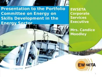 Presentation to the Portfolio Committee on Energy on Skills Development in the Energy