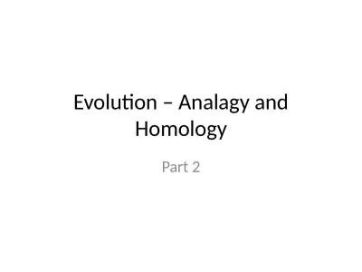 Evolution –  Analagy