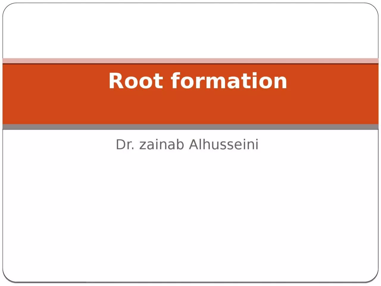 Dr.  zainab   Alhusseini