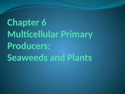 Chapter 6   Multicellular Primary Producers: