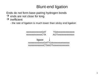 Blunt-end ligation Ends do not form base-pairing hydrogen bonds