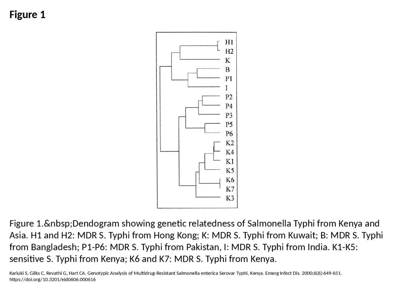 PPT-Figure 1 Figure 1.&nbsp;Dendogram showing genetic relatedness of Salmonella Typhi