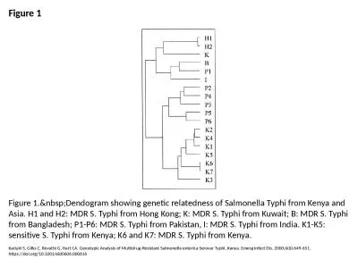 Figure 1 Figure 1.&nbsp;Dendogram showing genetic relatedness of Salmonella Typhi