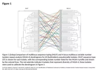 Figure 1 Figure 1.&nbsp;Comparison of multilocus sequence typing (MLST) and 4-locus