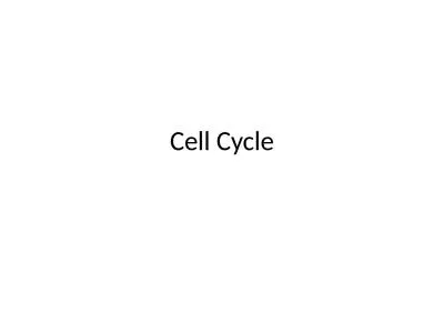 Cell Cycle Phases of the Cell Cycle