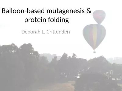Balloon-based mutagenesis & protein folding