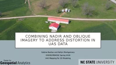 Combining nadir and oblique imagery to address distortion in
