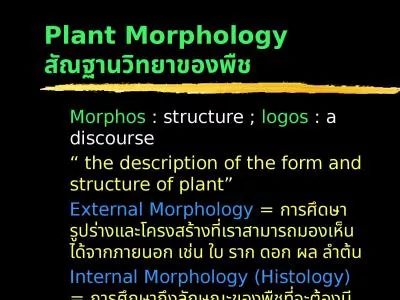 Plant  Morphology   สัณฐานวิทยาของพืช