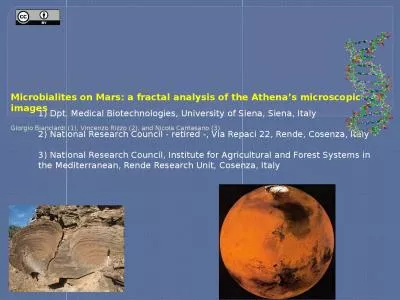 Microbialites  on Mars: a fractal analysis of the
