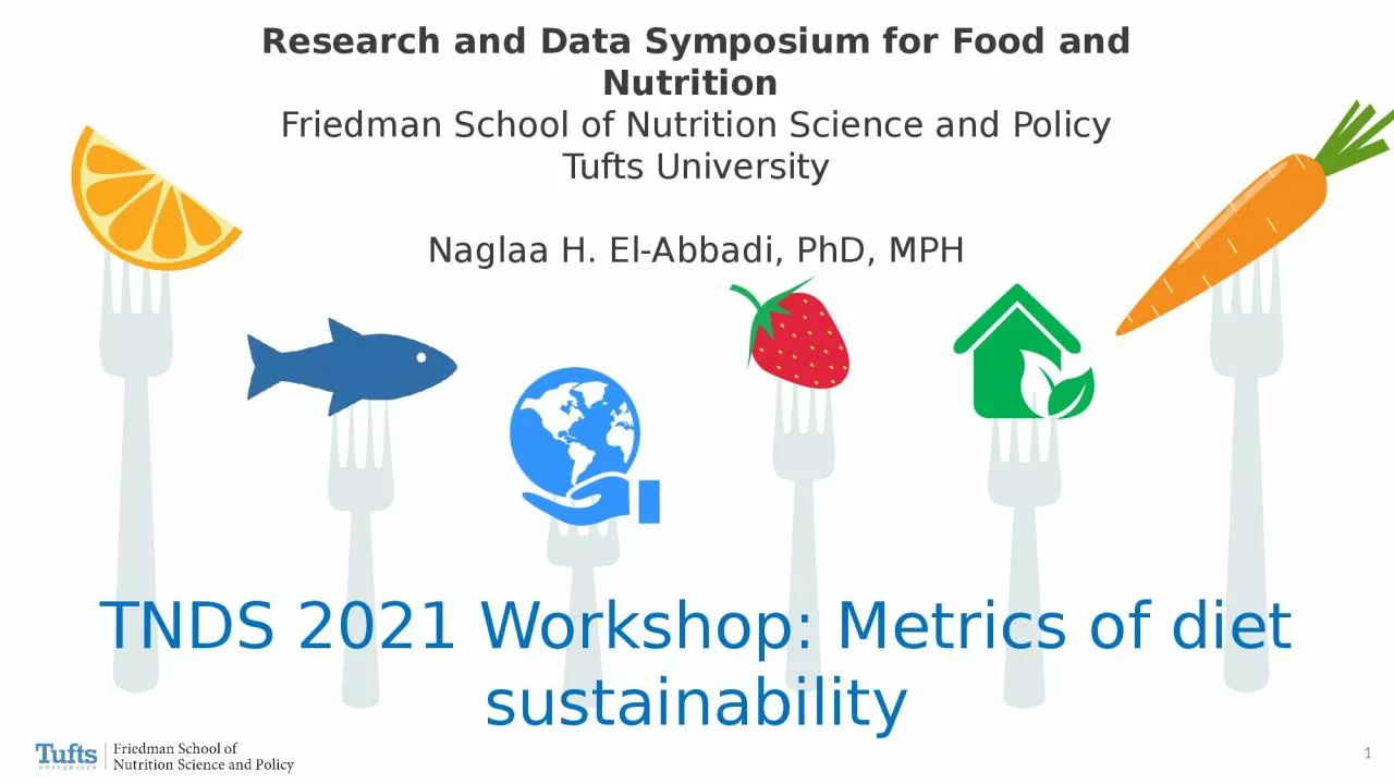 TNDS 2021 Workshop: Metrics of diet sustainability
