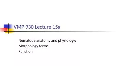 VMP 930 Lecture 15a Nematode anatomy and physiology: