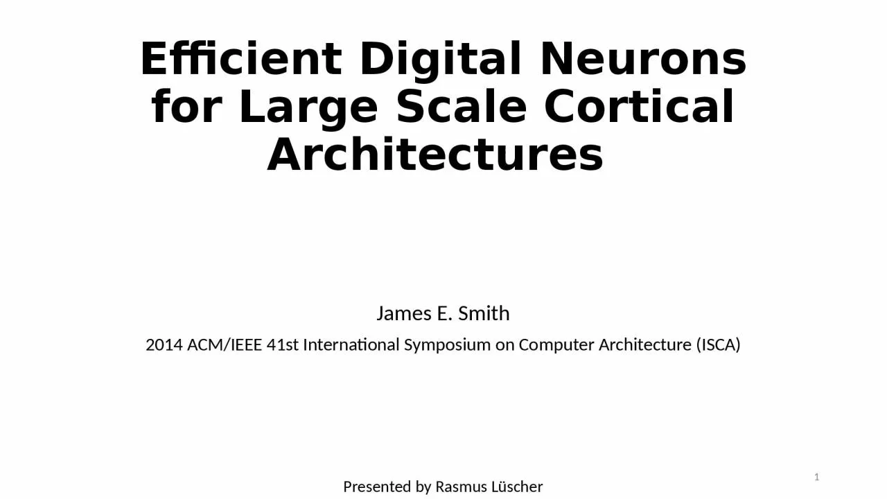 PPT-Efficient Digital Neurons for Large Scale Cortical Architectures