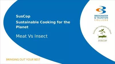 Meat Vs Insect SusCop Sustainable Cooking for the Planet