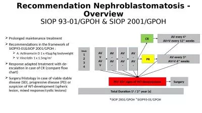 Recommendation  Nephroblastomatosis -