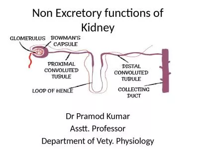 Non Excretory functions of Kidney