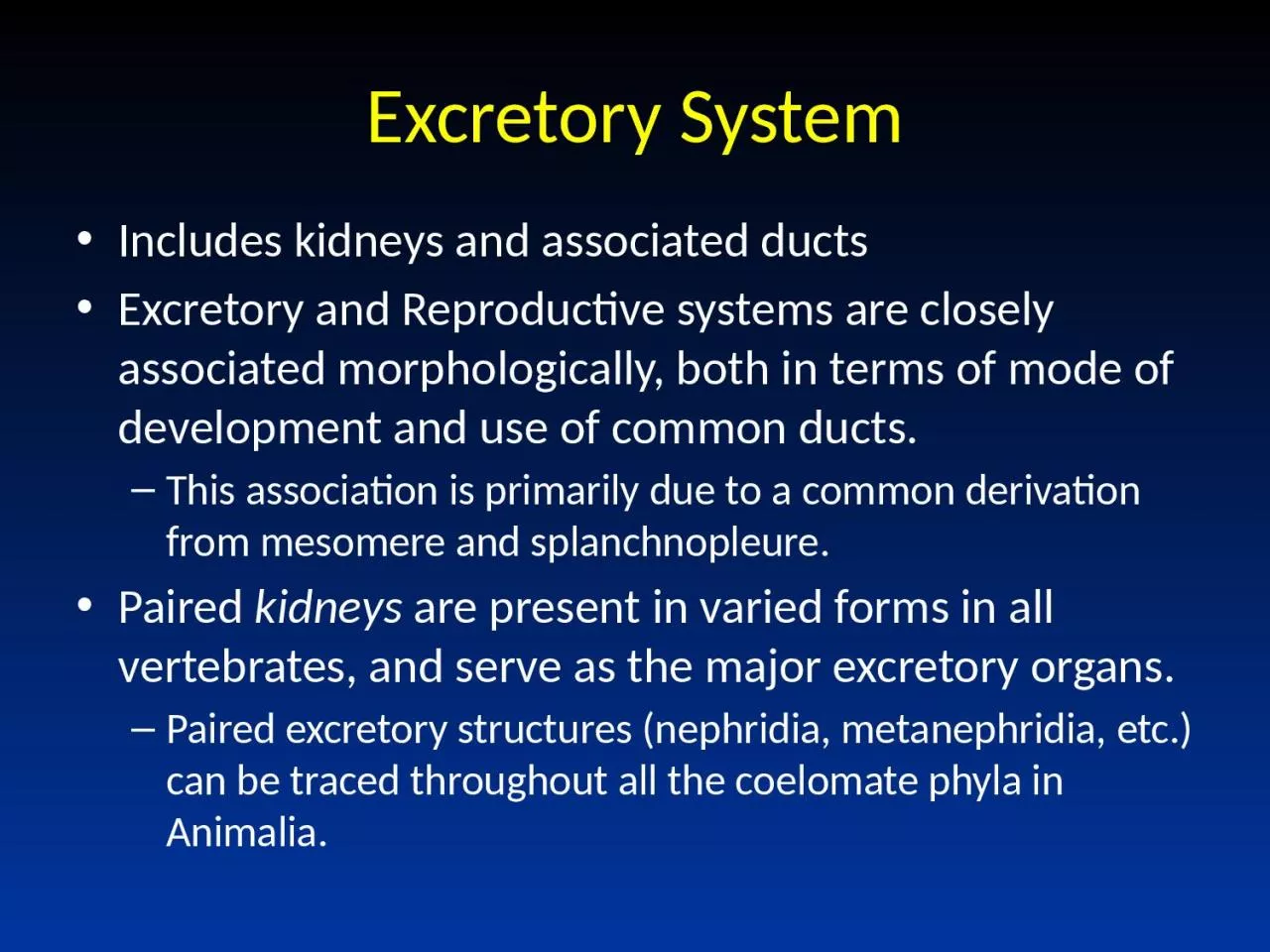 PPT-Excretory System Includes kidneys and associated ducts