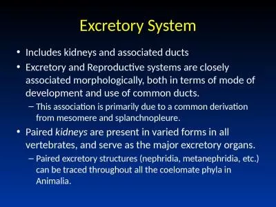 Excretory System Includes kidneys and associated ducts