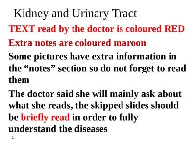 Kidney and Urinary Tract