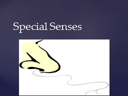 Special Senses Special Senses