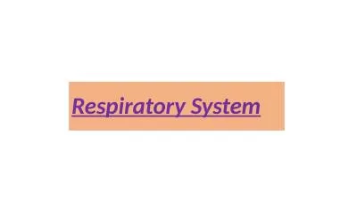 Respiratory System When